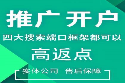 SEM推广案例：揭秘高ROI背后的策略与实践
